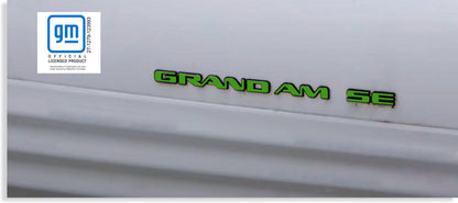 Badge Overlay Decals Door and Trunk - 99-05 Pontiac Grand Am SE - PO:GA:SE-B-01-PO:GA:SE-B-02-PO:GA:SE-B-03-PO:GA:SE-B-04-PO:GA:SE-B-05-  DRIVEN - 1