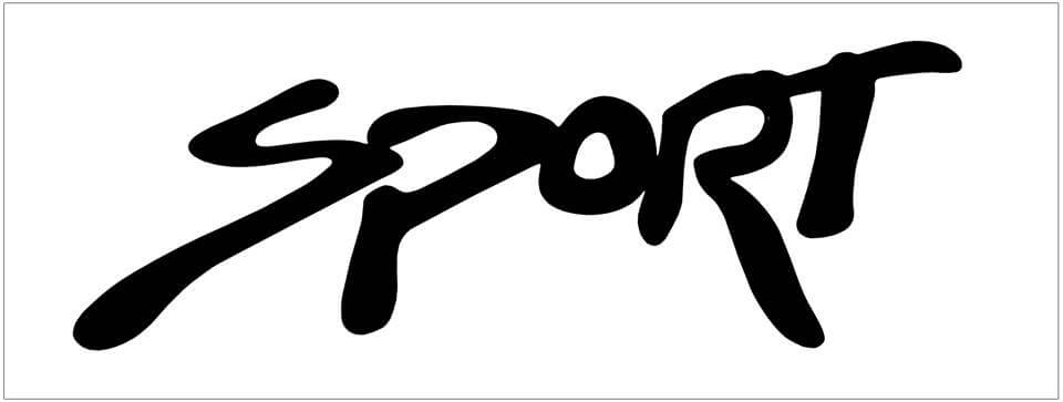 1999 Ford Ranger Sport Decal - TR234-BK-1-TR234-BK-2-  DRIVEN - 1