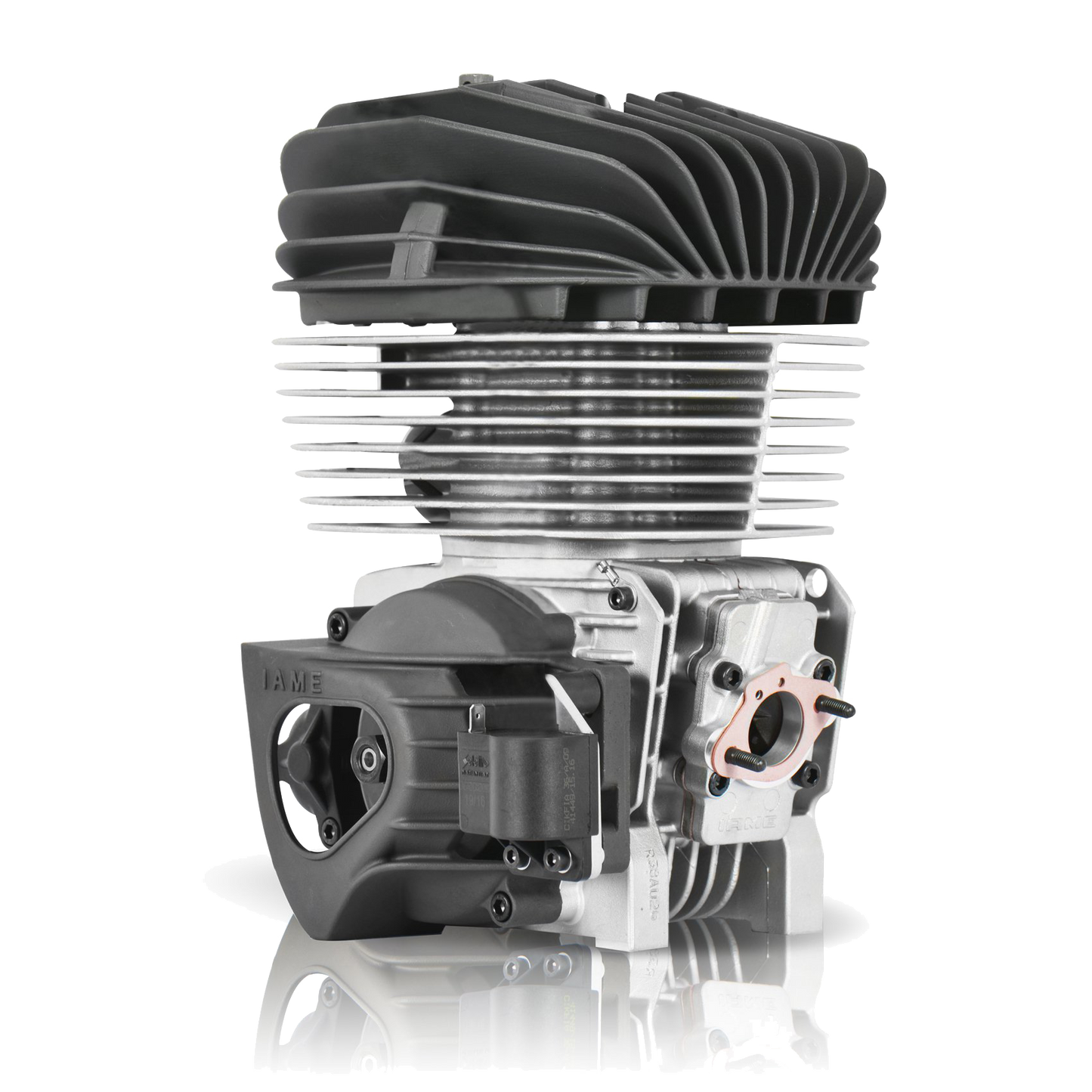 MR17 | IAME | PRO Kart Racing Engines | Stock & Blueprinted - -----  DRIVEN - 9