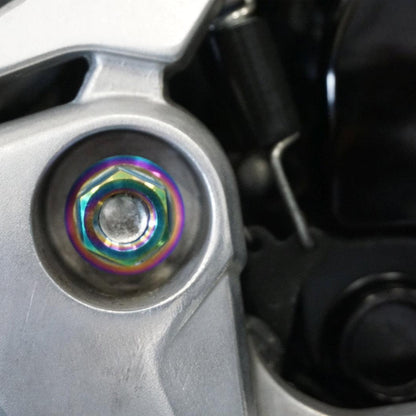ZSPEC Dress-Up Bolts® Hardware Kit for the pre-2020 Honda Grom Platform, Titanium - ZSD-766473-ZSD-766480-ZSD-766497-ZSD-766503-ZSD-766510-  DRIVEN - 24