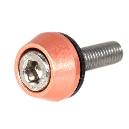ZSPEC Body Kit Fastener, M5x20mm w/Well Nut, Stainless & Billet, Per Each - ZSD-391132-ZSD-391149-ZSD-391156-ZSD-391163-ZSD-391170-  DRIVEN - 11