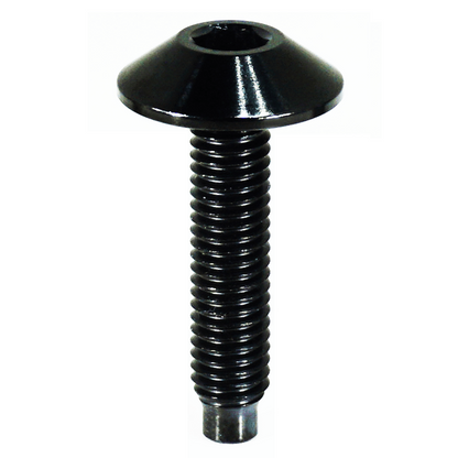 ZSPEC Body Kit Fastener, Low-Profile M5x20mm Titanium w/Well Nut, Per Each - ZSD-759086-ZSD-759093-ZSD-188787-ZSD-188794-ZSD-759123-  DRIVEN - 11