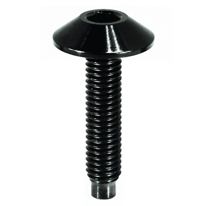 ZSPEC Body Kit Fastener, Low-Profile M5x25mm Titanium, Per Each - ZSD-758713-ZSD-758720-ZSD-758737-ZSD-758744-ZSD-188763-  DRIVEN - 5